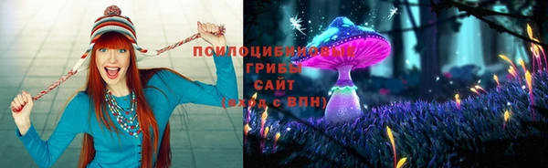 спайс Магадан