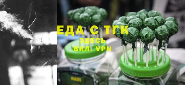 гидра Долгопрудный