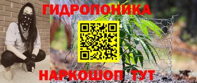 ПСИЛОЦИБИНОВЫЕ ГРИБЫ Бийск