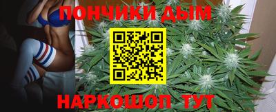 PSILOCYBIN Балахна