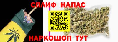 PSILOCYBIN Балахна