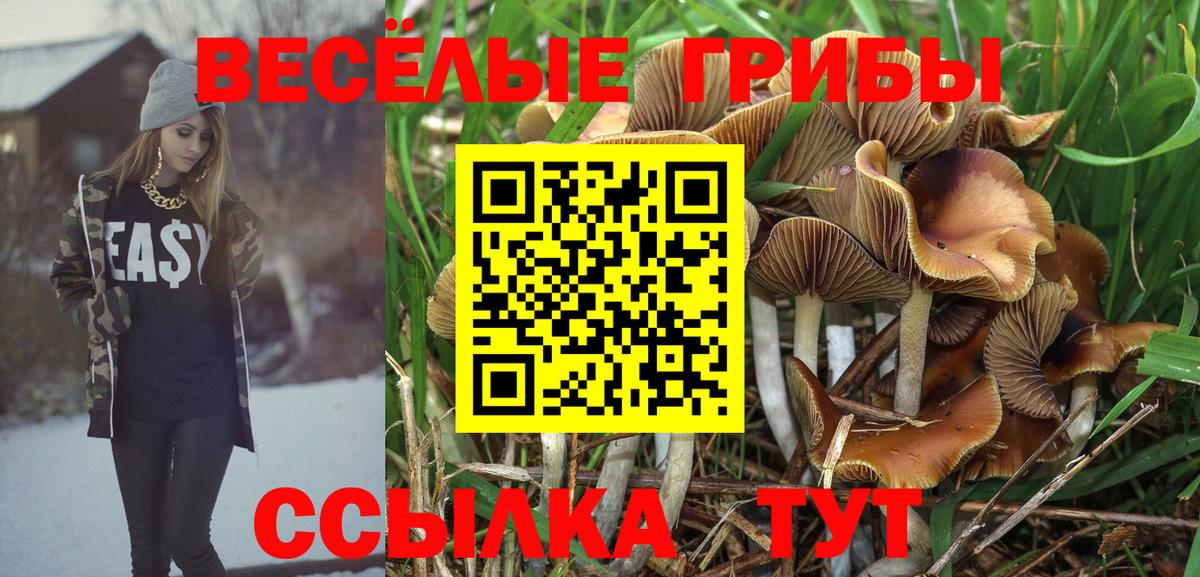 Галлюциногенные грибы Cubensis  Братск  Галлюциногенные грибы Magic Shrooms 
