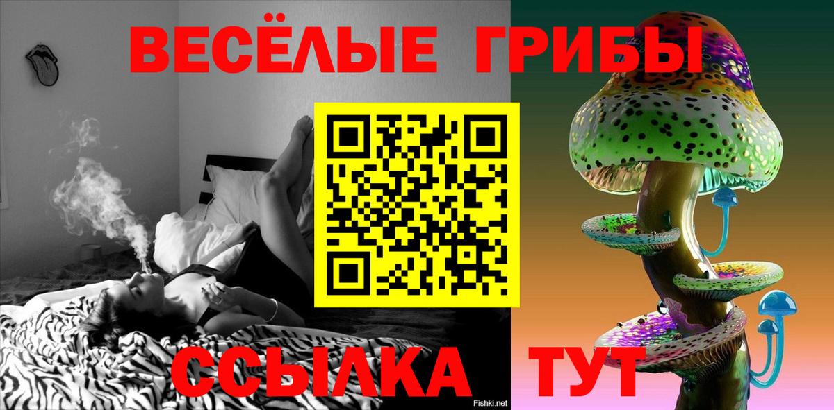 купить   Вход с VPN  Братск  Галлюциногенные грибы прущие грибы  Галлюциногенные грибы Psilocybe 